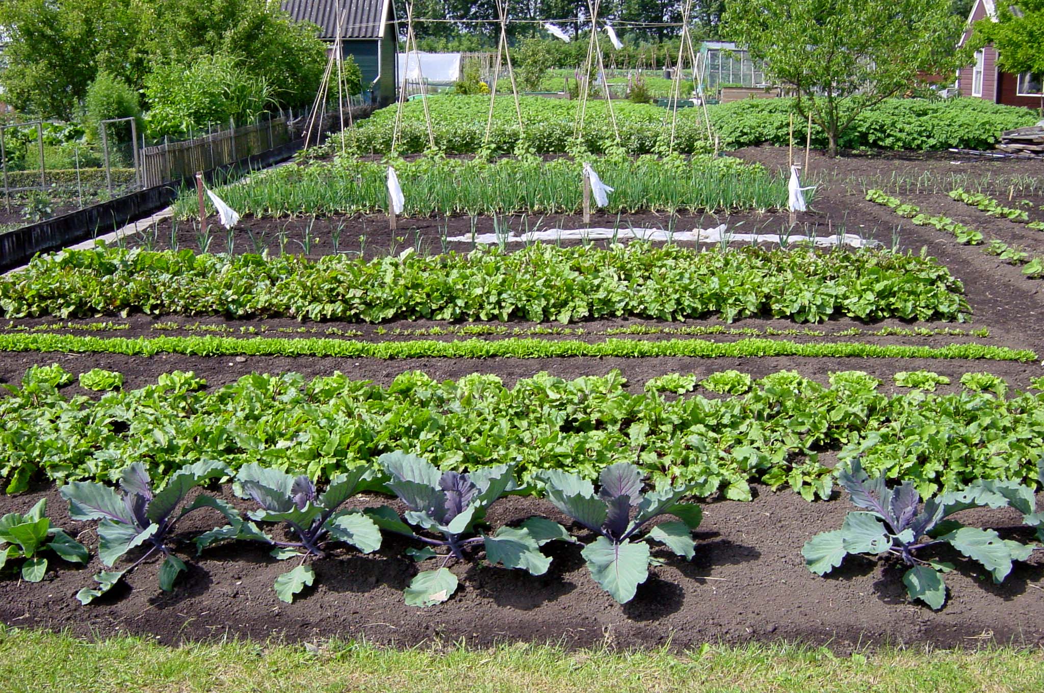 afbeelding "i_NL.IMRO.0177.BP20130006-0002_0005.jpg"