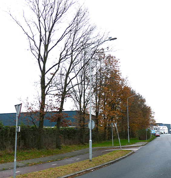 afbeelding "i_NL.IMRO.0203.1029-0004_0015.png"