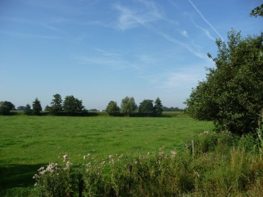 afbeelding "i_NL.IMRO.0203.1214-0002_0014.jpg"