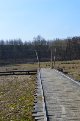 afbeelding "i_NL.IMRO.0203.1214-0002_0019.jpg"