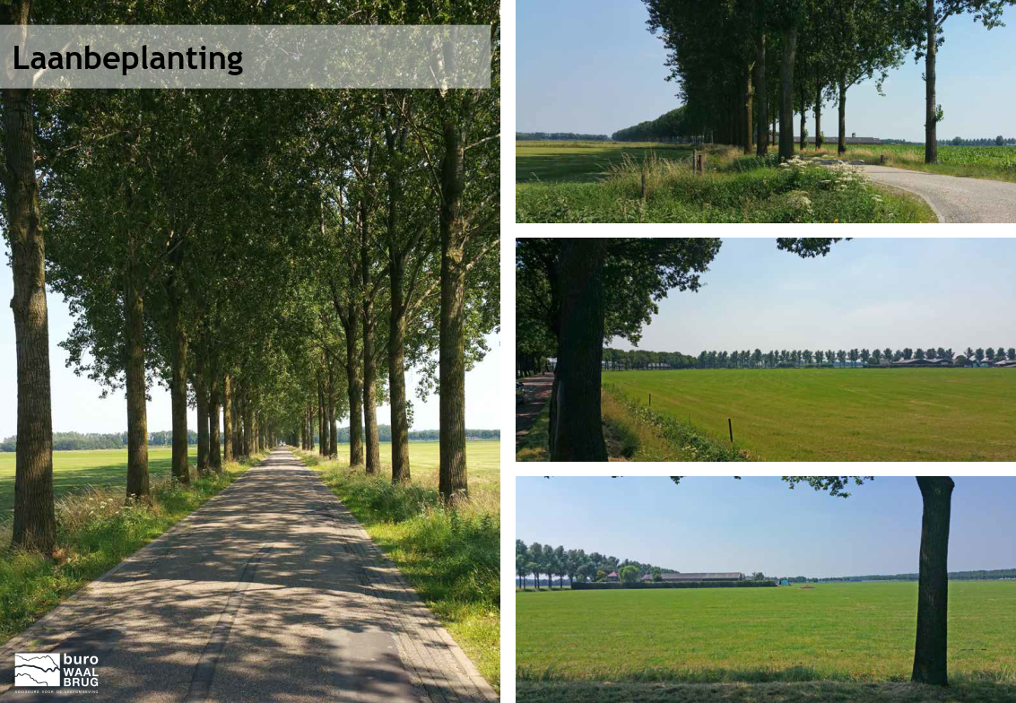 afbeelding "i_NL.IMRO.0209.BPFicarystraat2Beu-vadf_0008.png"