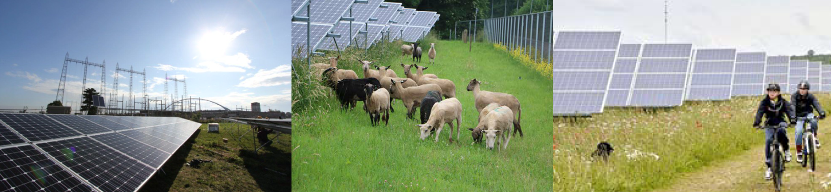 afbeelding "i_NL.IMRO.0209.BPZonneparkLWEwijk-vadf_0005.png"