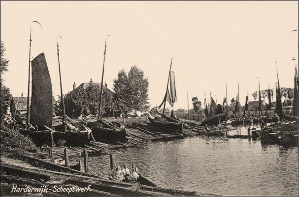 afbeelding "i_NL.IMRO.0243.BP00118-0003_0003.png"