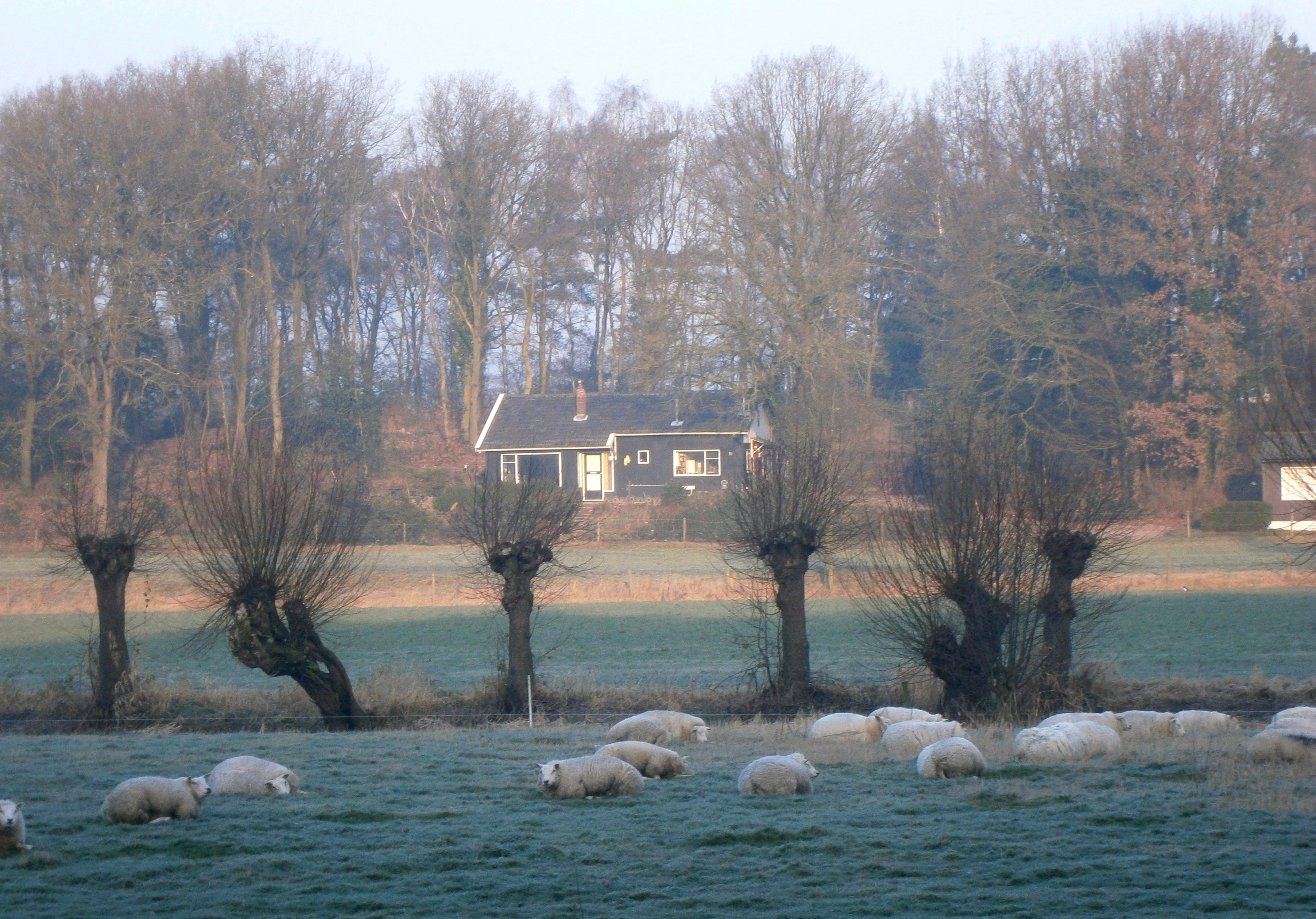 afbeelding "i_NL.IMRO.0274.bp0149bg-va02_0004.png"