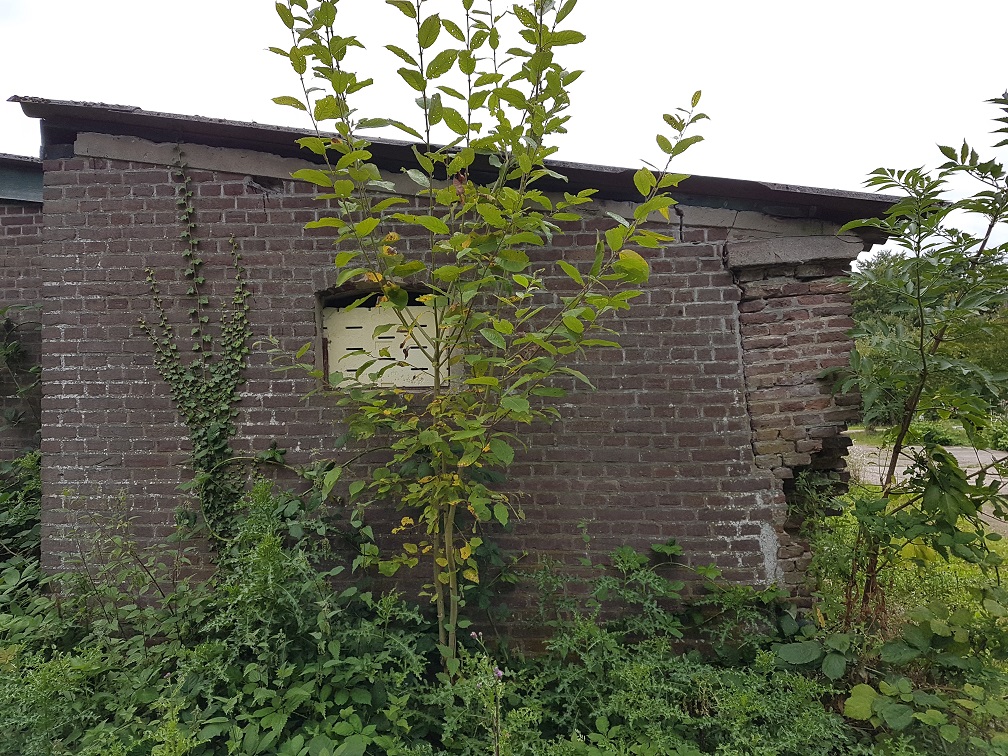 afbeelding "i_NL.IMRO.0275.BPLG39-VA01_0008.jpg"