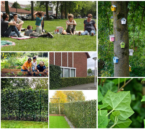 afbeelding "i_NL.IMRO.0285.171049-VS00_0013.png"