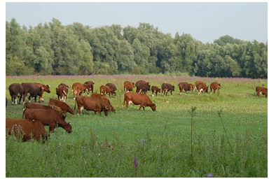 afbeelding "i_NL.IMRO.0285.20145-VS00_0010.png"