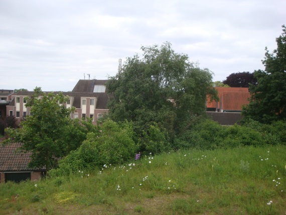 afbeelding "i_NL.IMRO.0293.BPZdlPweg32014001-VA01_0009.jpg"