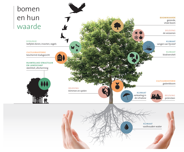 afbeelding "i_NL.IMRO.0307.BP00154-0301_0004.png"