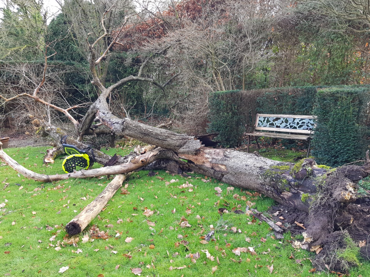 afbeelding "i_NL.IMRO.0308.BP0089-VG01_0017.png"