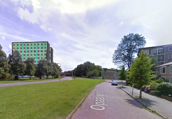 afbeelding "i_NL.IMRO.0344.BPOPAALWEGAMETHIST-VA02_0012.png"