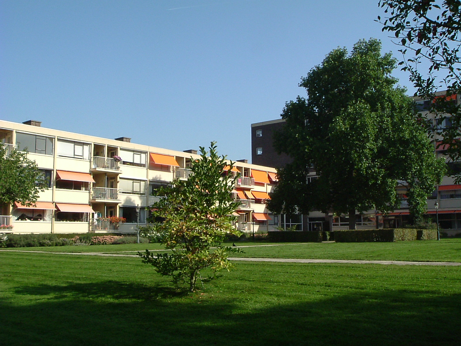 afbeelding "i_NL.IMRO.0344.BPTRANSWIJK-0601_0006.jpg"