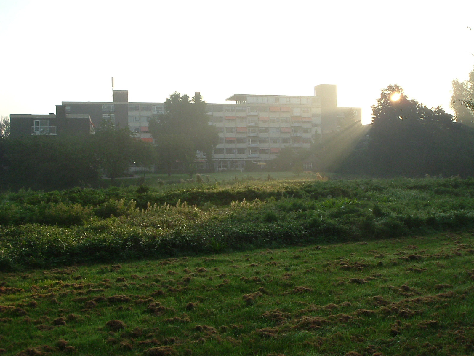 afbeelding "i_NL.IMRO.0344.BPTRANSWIJK-0601_0009.jpg"