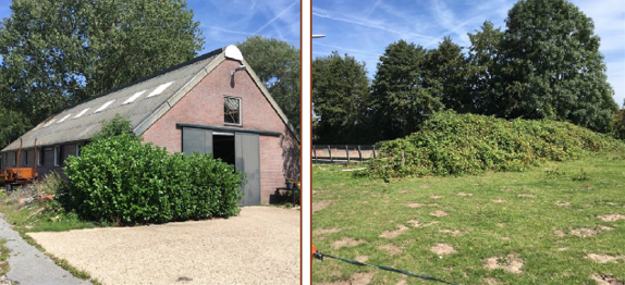 afbeelding "i_NL.IMRO.0344.WPRIJNGINGOSTRAAT-VA01_0004.png"