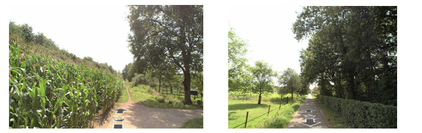 afbeelding "i_NL.IMRO.0345.Dijkstraat181-oh01_0005.png"