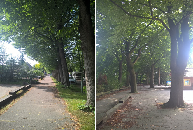 afbeelding "i_NL.IMRO.0355.BPHartAusterlitz-VS01_0008.png"