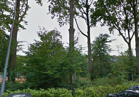 afbeelding "i_NL.IMRO.0363.K1602BPGST-VG01_0008.png"