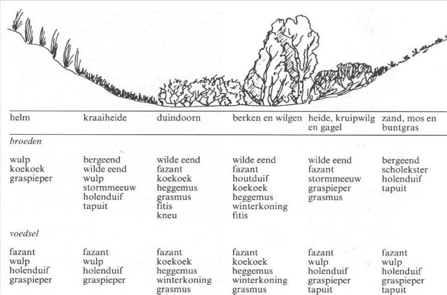 afbeelding "i_NL.IMRO.0373.BPG05000berzeekern-D001_0007.jpg"