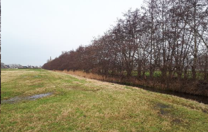 afbeelding "i_NL.IMRO.0405.BPRozenbuurt-va02_0005.png"