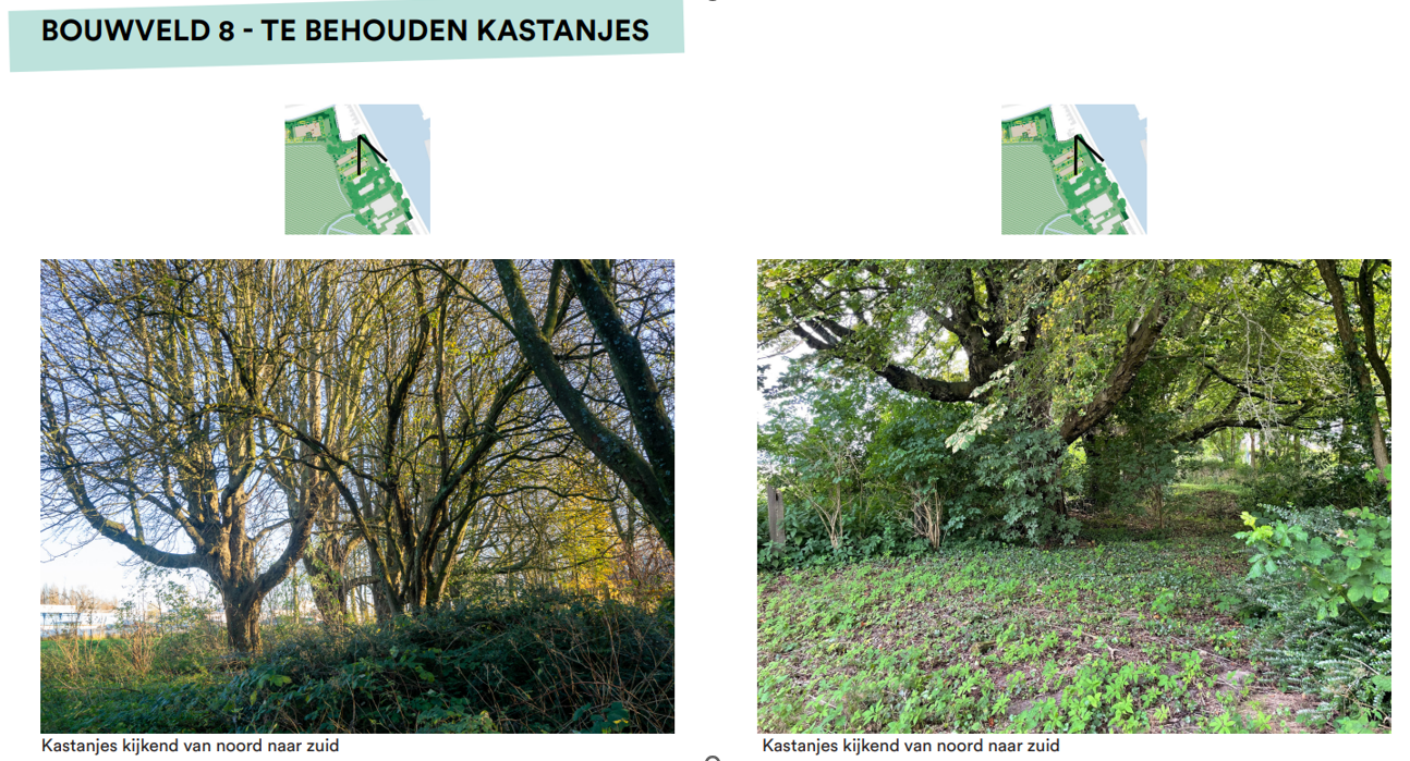 afbeelding "i_NL.IMRO.0479.STED3895BP-0301_0033.png"