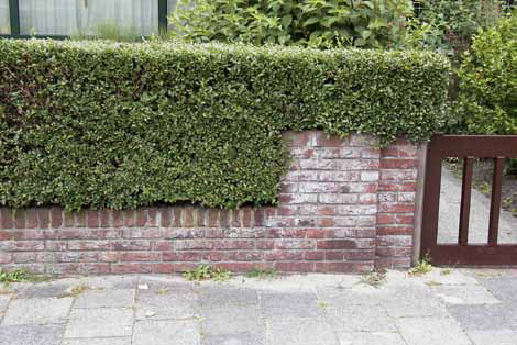 afbeelding "i_NL.IMRO.0518.UP0005BNoordhof-50VA_0013.png"