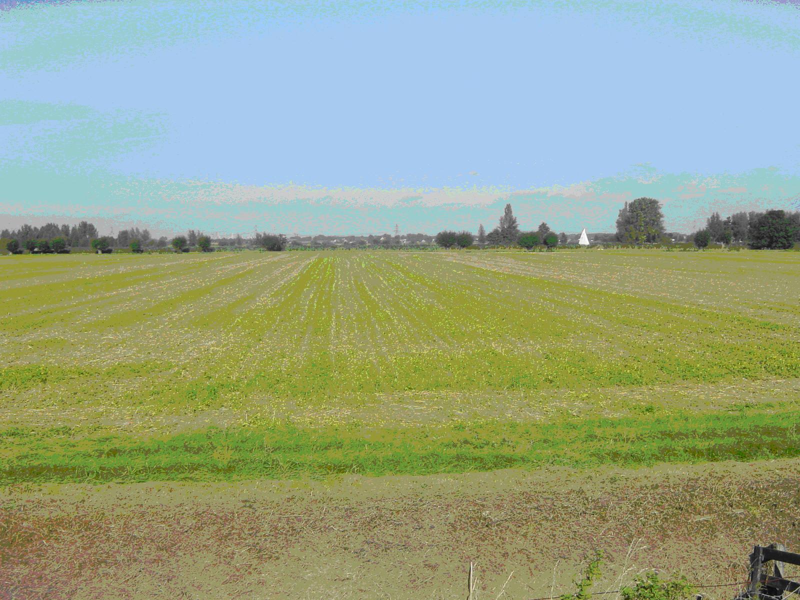 afbeelding "i_NL.IMRO.0585.BPWMSlgmunweg-VG01_0006.jpg"