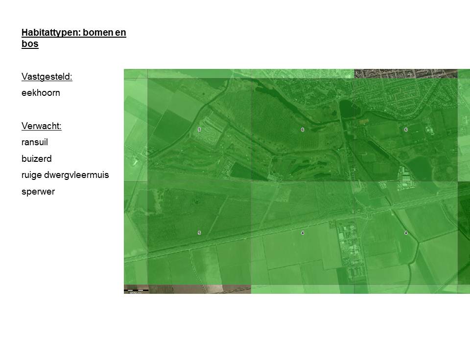 afbeelding "i_NL.IMRO.0715.BVAXLZ-VG99_0009.jpg"