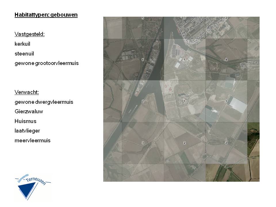 afbeelding "i_NL.IMRO.0715.BVAXVL-VG99_0010.jpg"