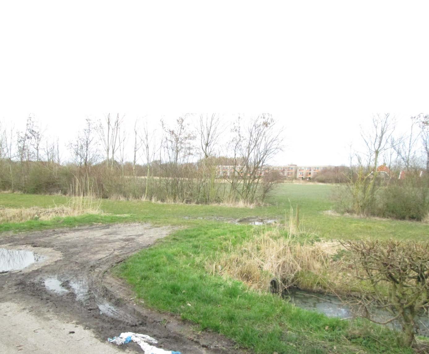 afbeelding "i_NL.IMRO.0717.0067BPVliedDbg-VG01_0006.jpg"