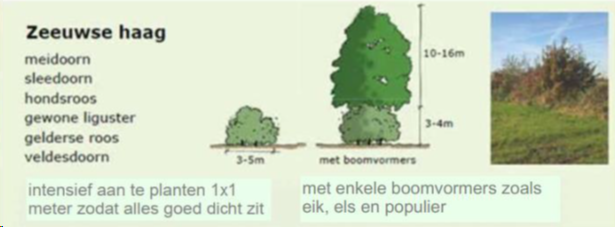 afbeelding "i_NL.IMRO.0717.0168BPOosweg83Ser-VG01_0014.png"