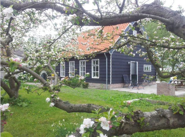 afbeelding "i_NL.IMRO.0717.0184WPLepelstr16Vr-VG01_0005.png"
