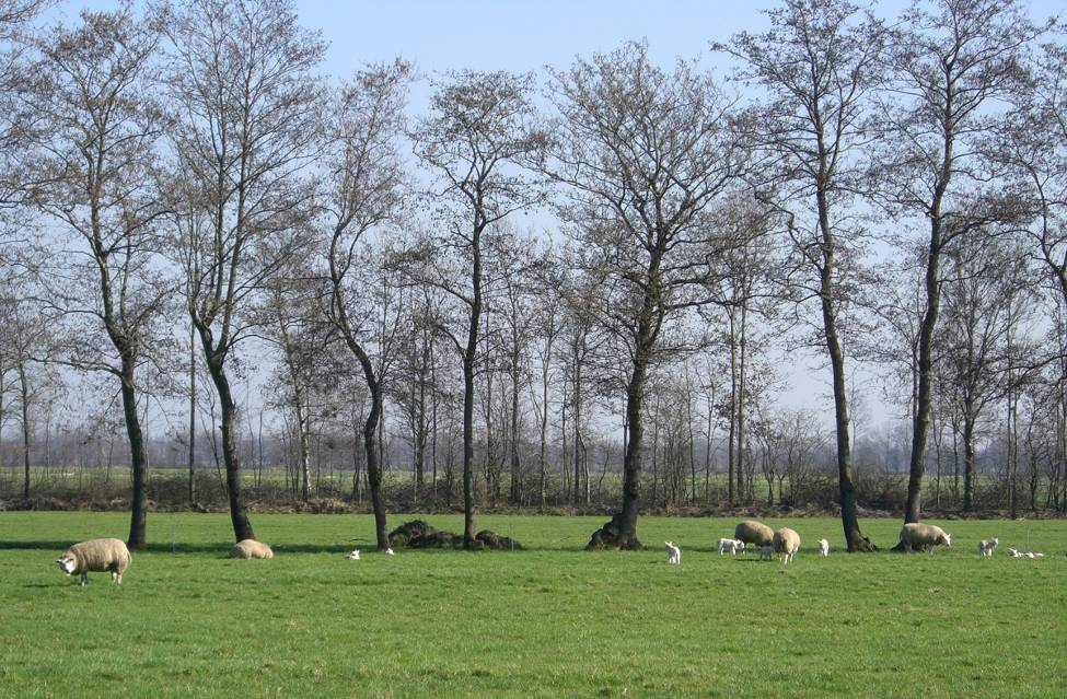 afbeelding "i_NL.IMRO.0738.BP6004-GV01_0029.png"