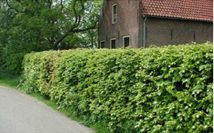 afbeelding "i_NL.IMRO.0753.bprvrseinheuvel-VG01_0009.png"