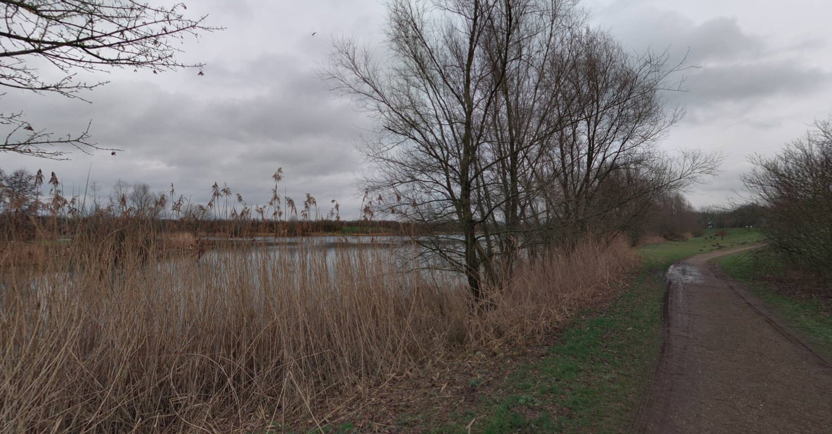 afbeelding "i_NL.IMRO.0784.BPSteenakker-VG01_0009.png"
