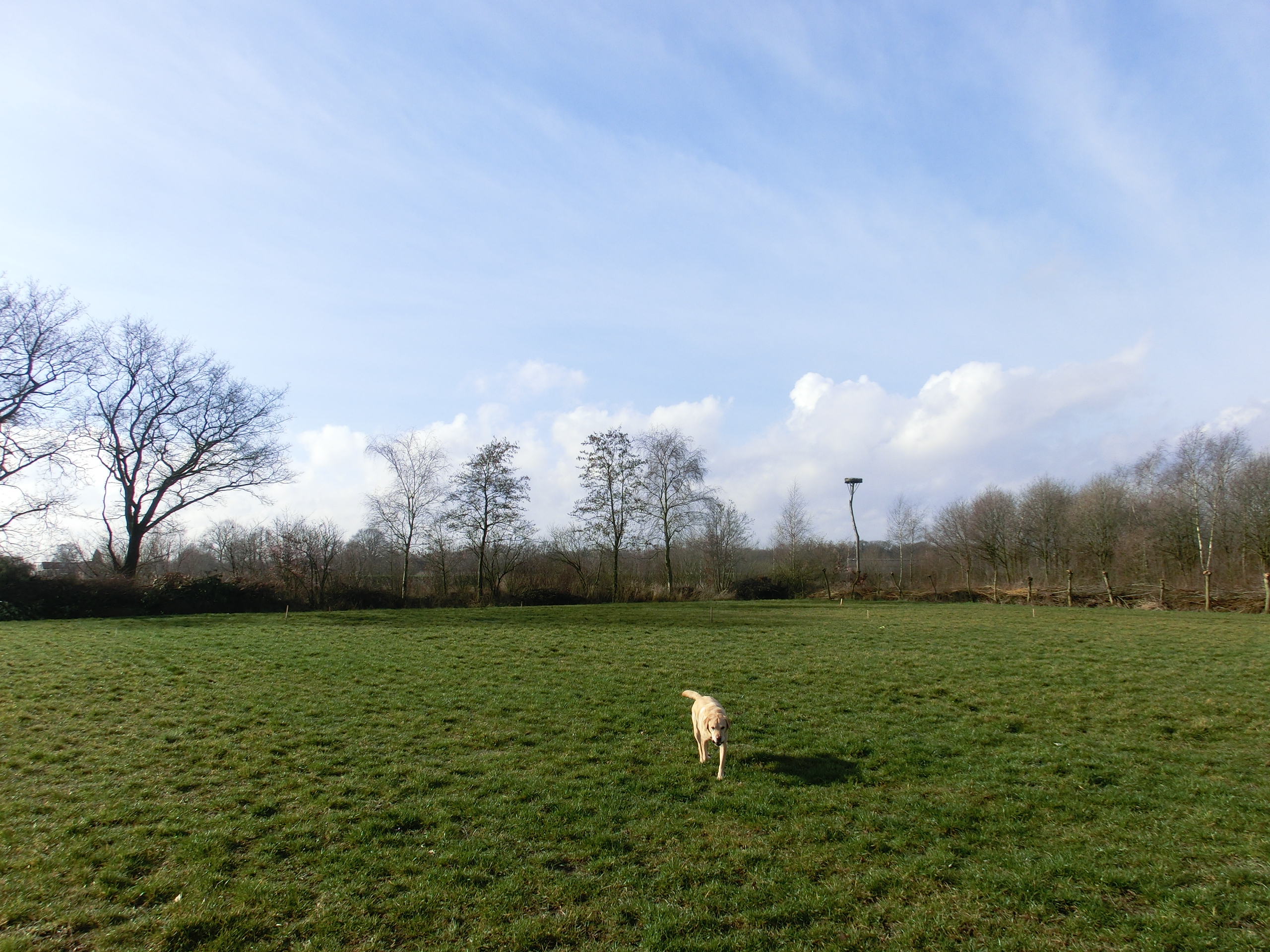 afbeelding "i_NL.IMRO.0796.0002248-1401_0012.jpg"