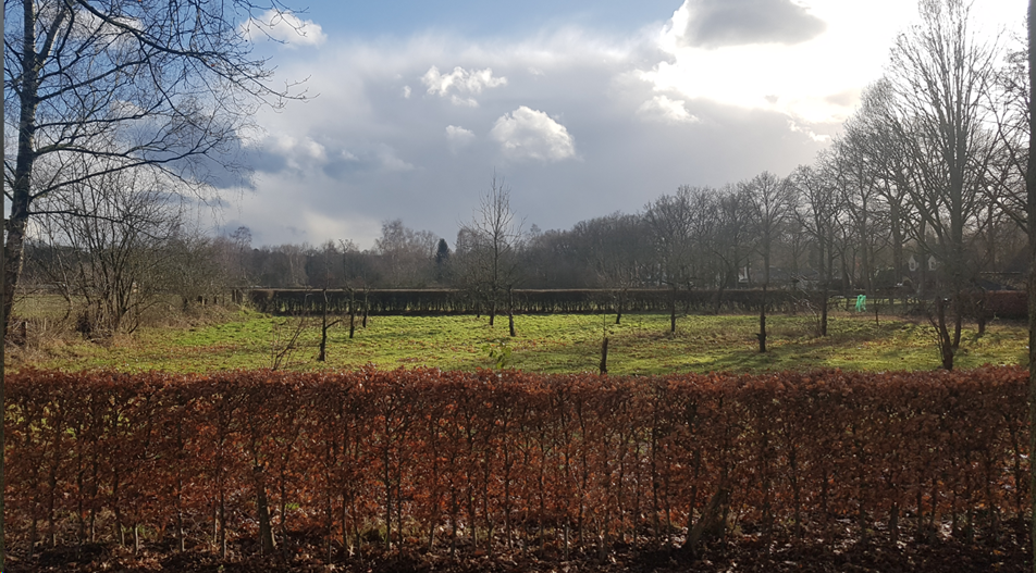 afbeelding "i_NL.IMRO.0824.BPRvRMerodelaan-ON01_0006.png"