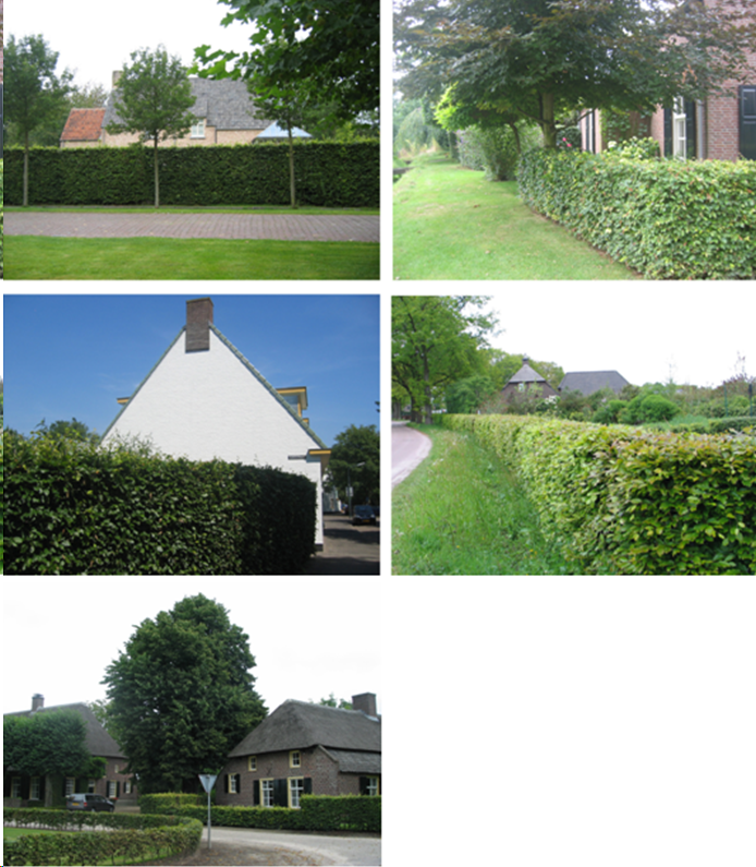 afbeelding "i_NL.IMRO.0824.BPRvRMerodelaan-ON01_0010.png"