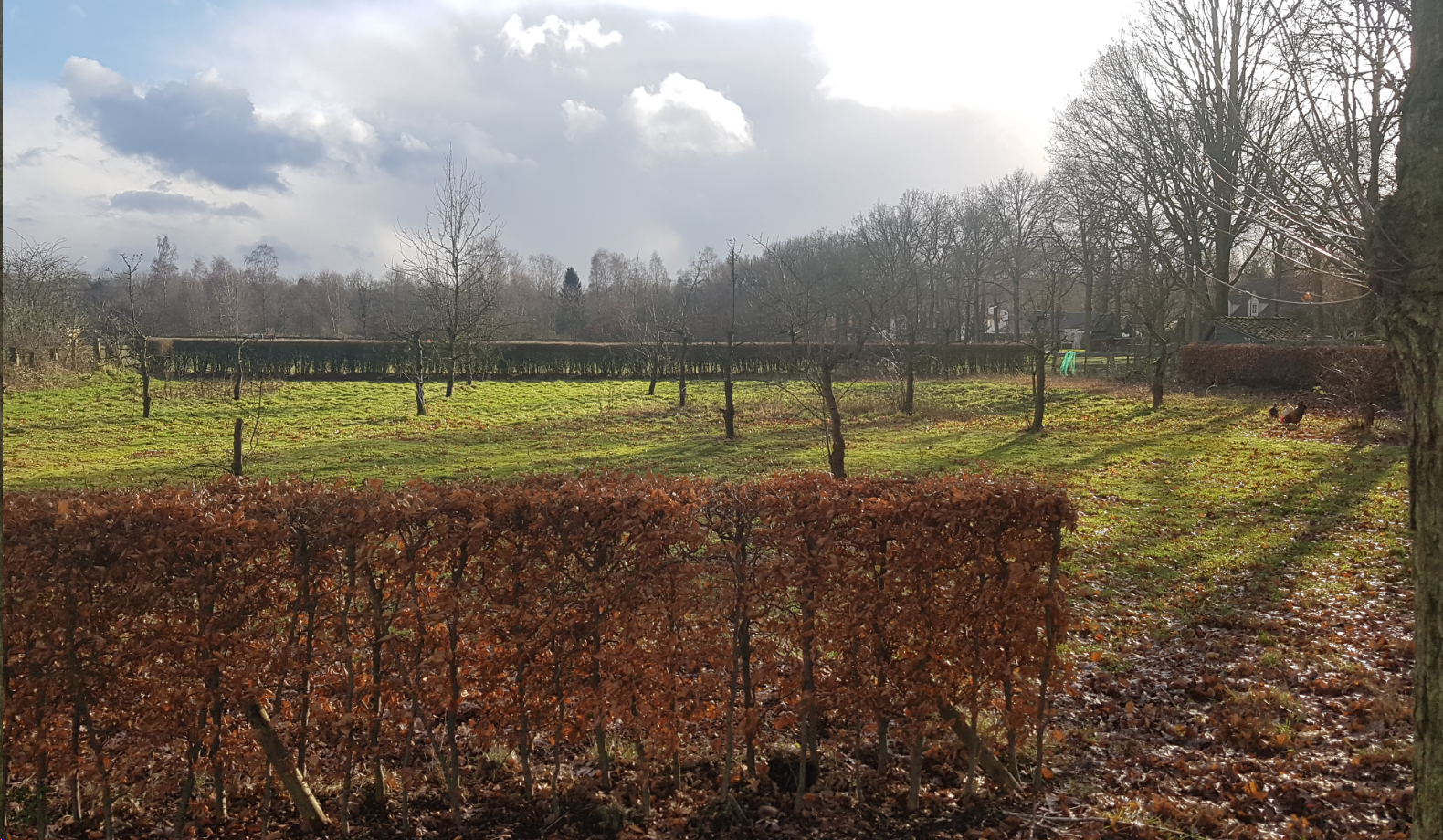afbeelding "i_NL.IMRO.0824.BPRvRMerodelaan-ON01_0017.png"