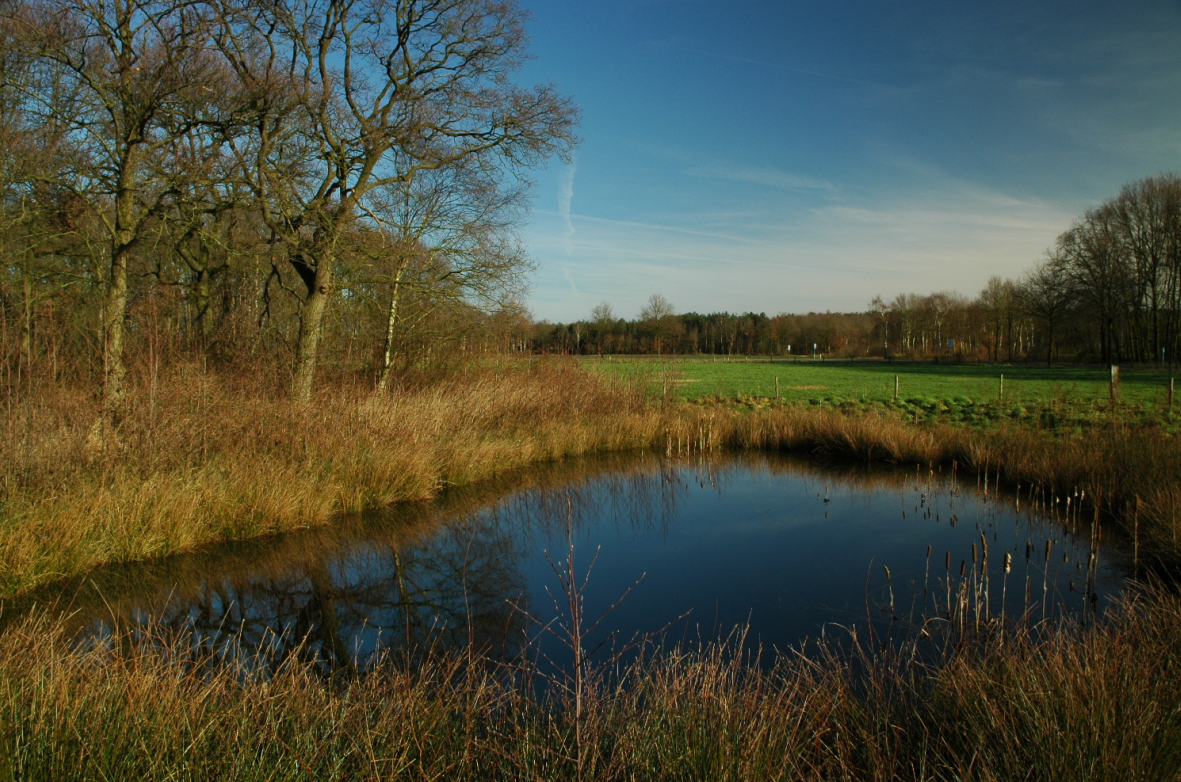 afbeelding "i_NL.IMRO.0847.BP02010023-VS02_0018.png"