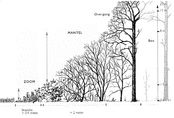 afbeelding "i_NL.IMRO.0855.BSP2007007-e001_0001.png"