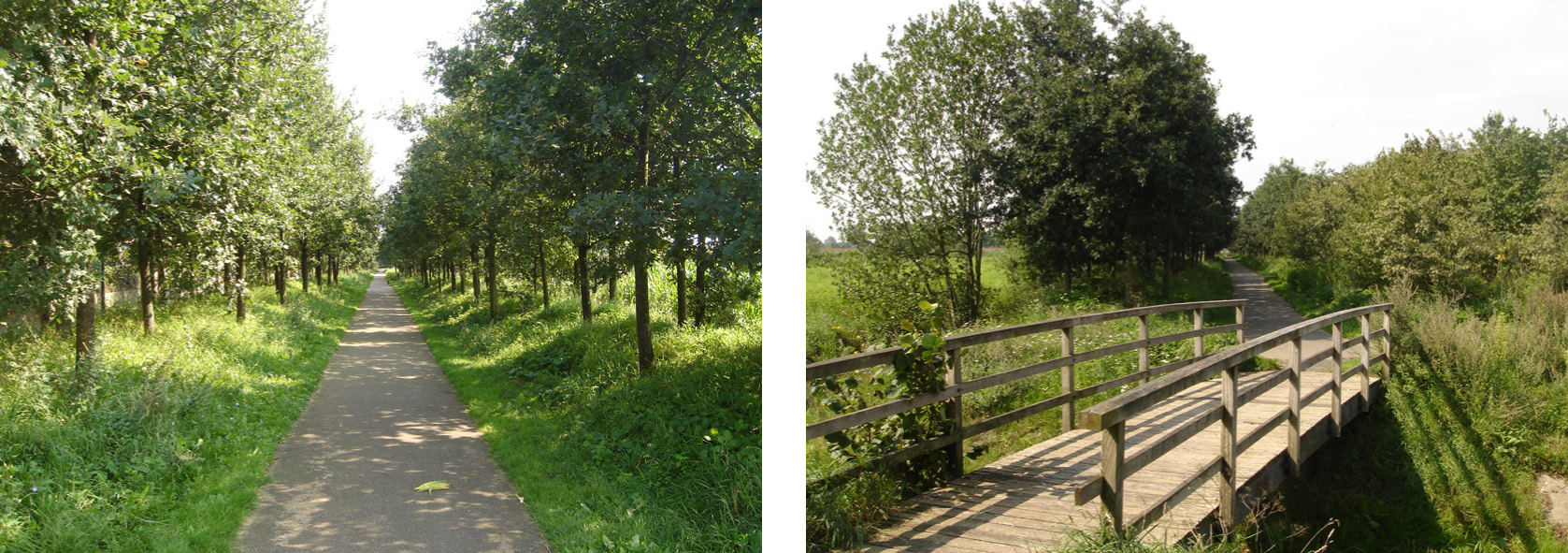 afbeelding "i_NL.IMRO.0856.BPhoenderbosIV-VA01_0010.jpg"