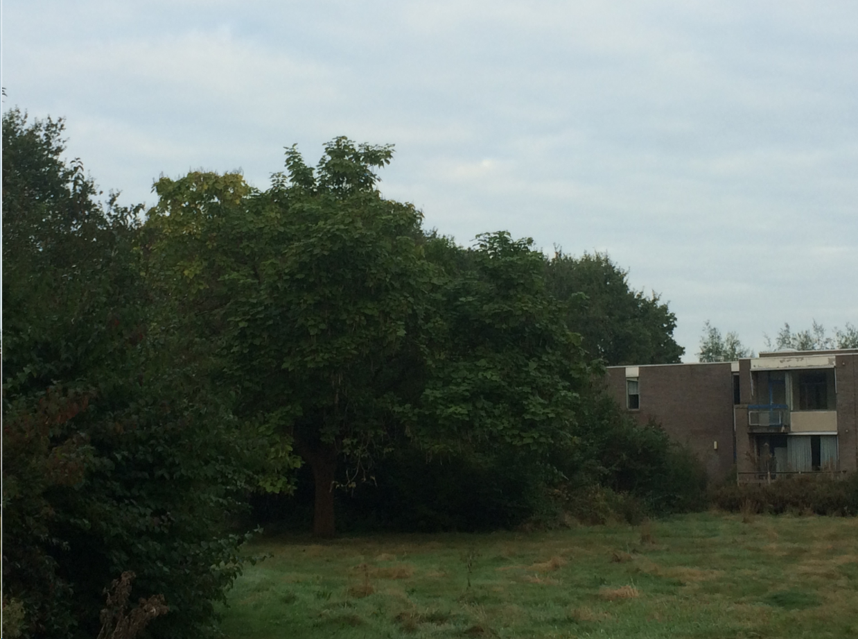 afbeelding "i_NL.IMRO.0867.bpWMercatorlaan001-va01_0006.png"
