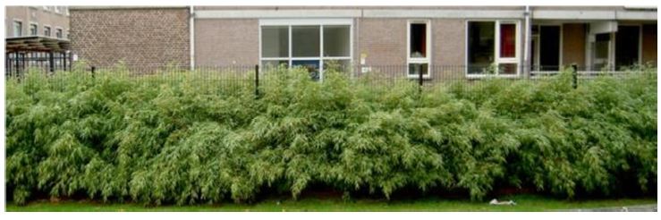 afbeelding "i_NL.IMRO.0888.BPBMVSPAUBEEK-VA01_0014.jpg"