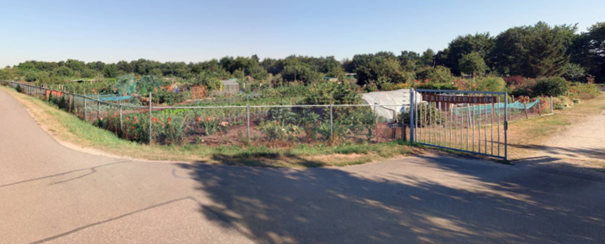 afbeelding "i_NL.IMRO.0944.BPMOLENHOEKZUID-VA01_0008.png"