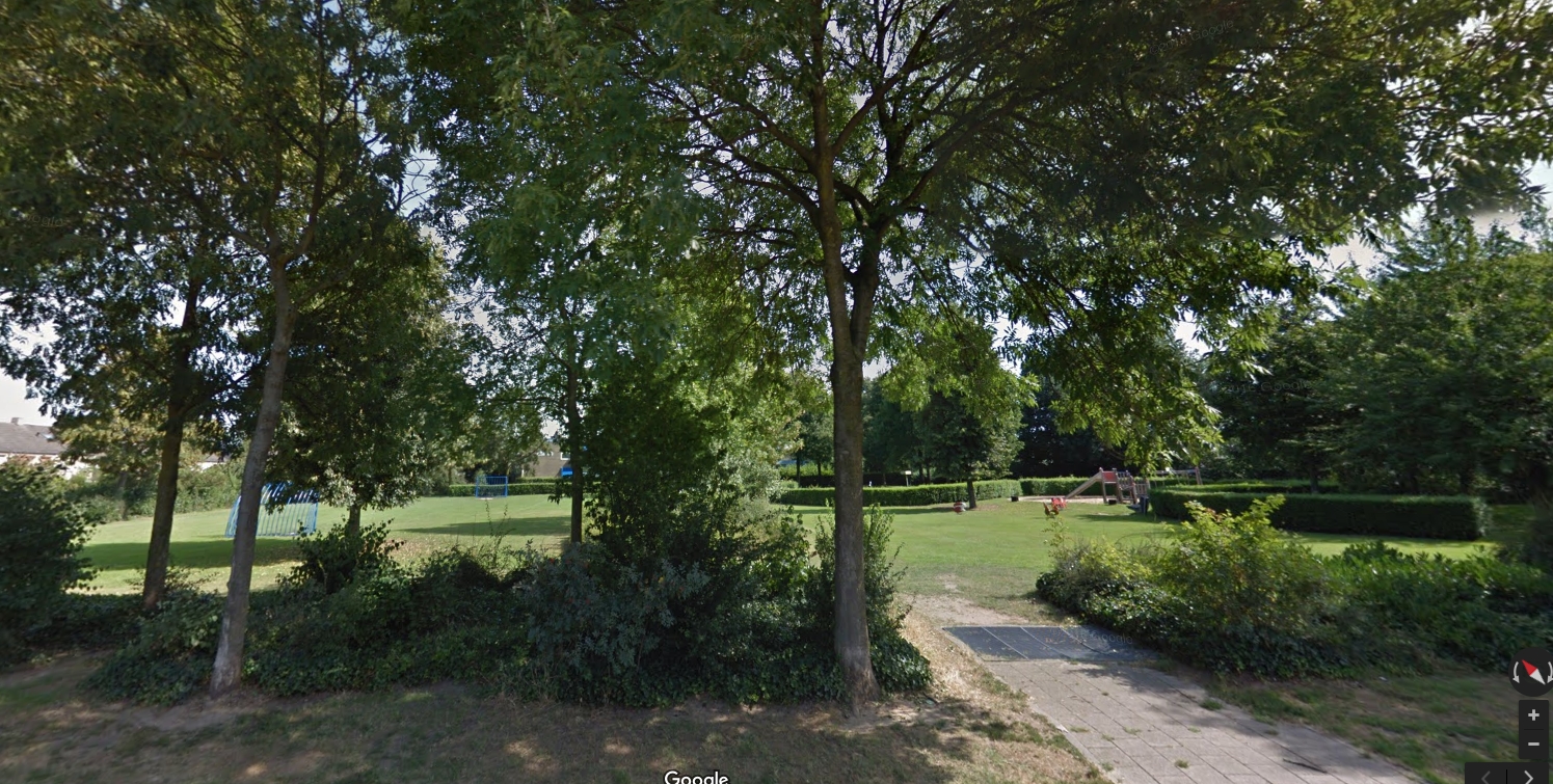 afbeelding "i_NL.IMRO.0983.BP201802IJSVOGELS-VA01_0007.jpg"