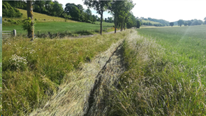 afbeelding "i_NL.IMRO.0986.FietsverbDaelsweg-VG01_0006.png"