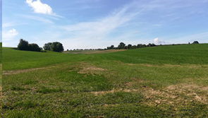 afbeelding "i_NL.IMRO.0986.FietsverbDaelsweg-VG01_0007.png"
