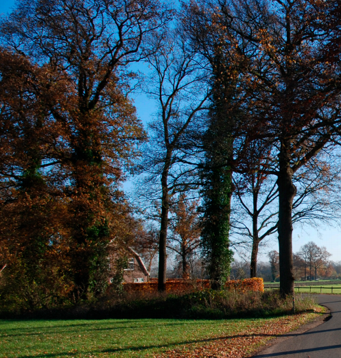 afbeelding "i_NL.IMRO.1509.BP000115-VA01_0006.png"
