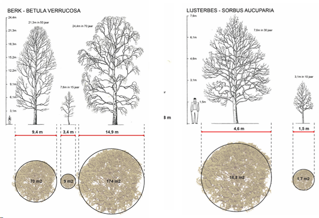 afbeelding "i_NL.IMRO.1581.UHRrecreatie-VA01_0007.png"