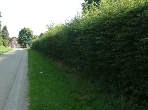 afbeelding "i_NL.IMRO.1641.BPL042-OH01_0005.png"